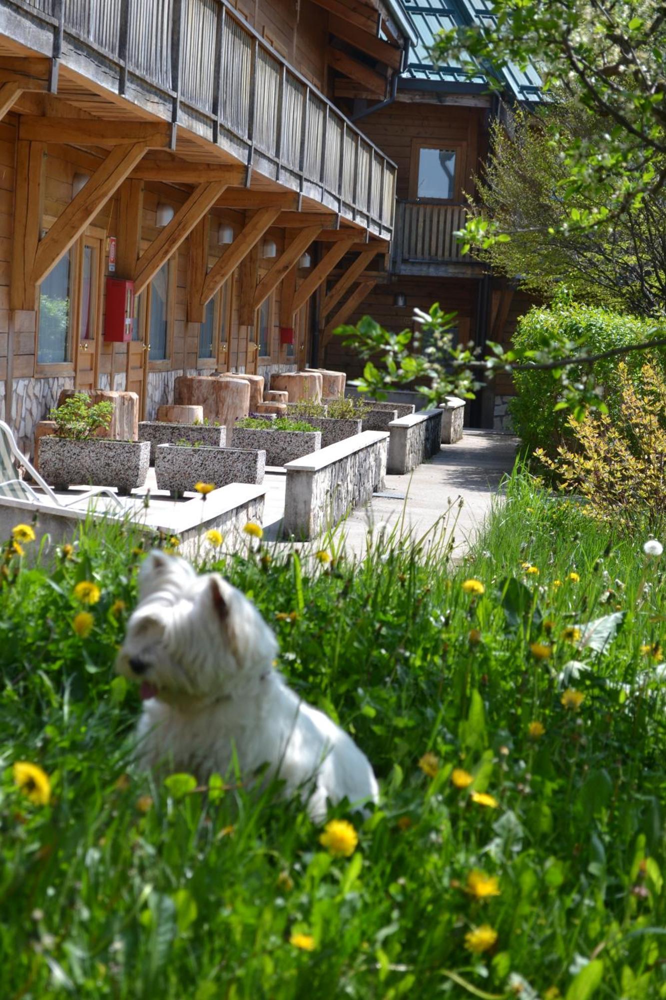 Albergo Rendola Asiago Exteriér fotografie